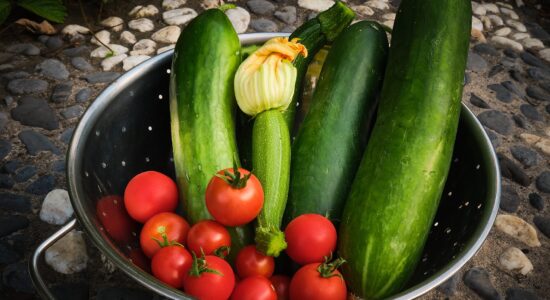 zucchine