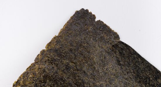 alga nori