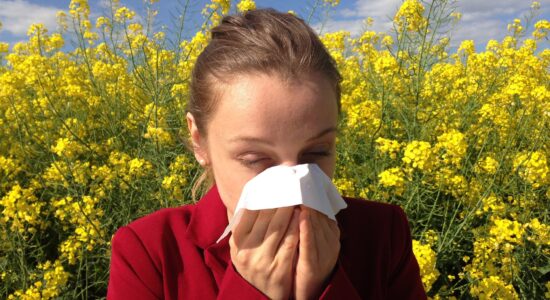 allergie di primavera
