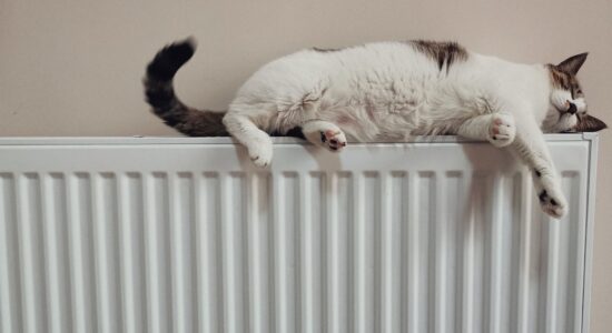 calore