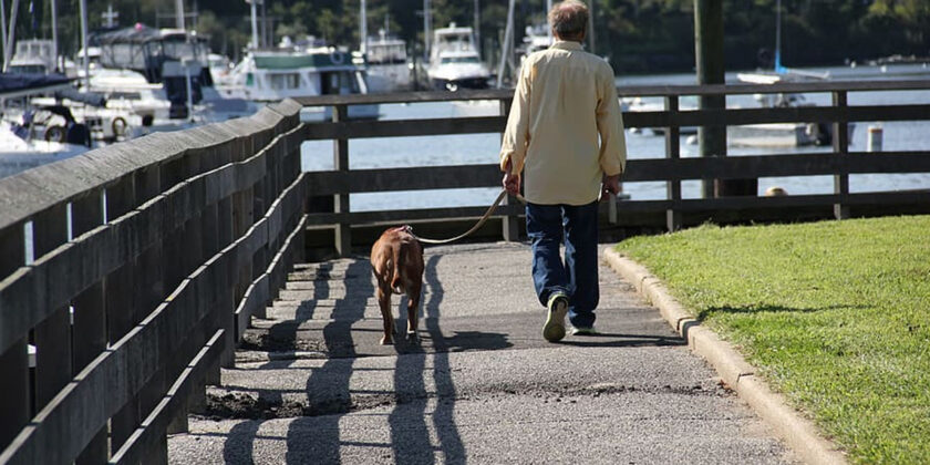 cane al guinzaglio