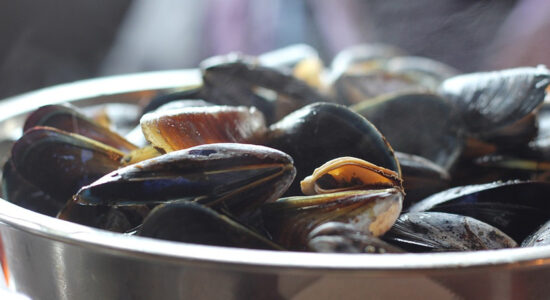 cozze
