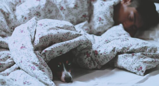 dormire