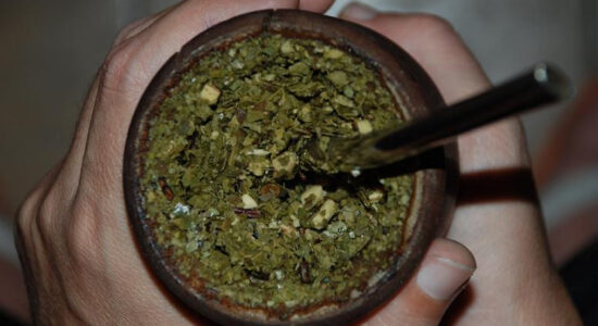 erba mate
