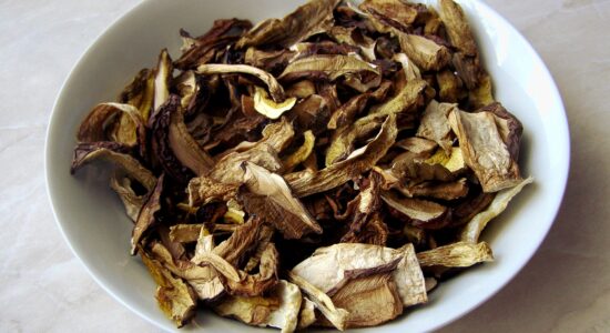 funghi porcini secchi