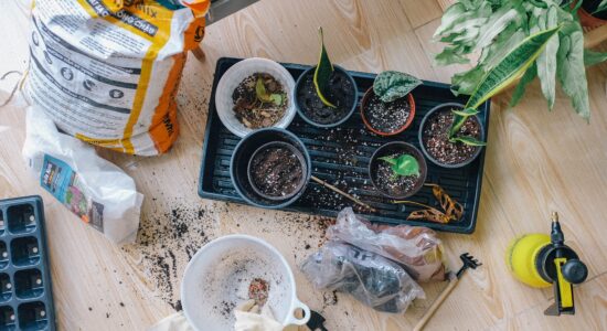 giardino appartamento
