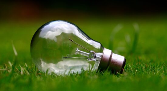 idee ecosostenibili