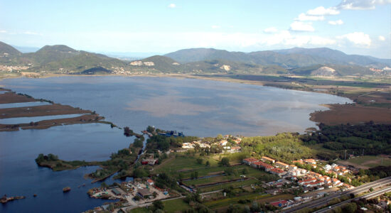 Massaciuccoli