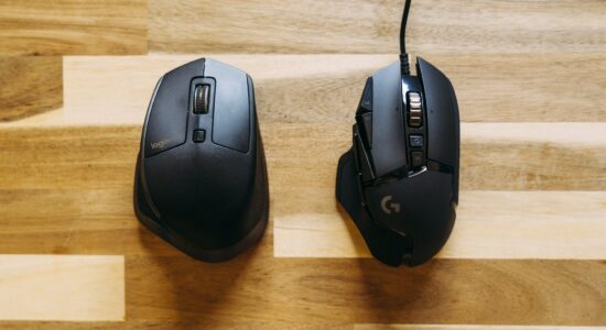 mouse