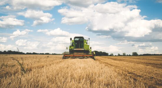 partita IVA agricola