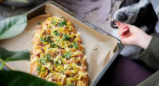pizza alla pala