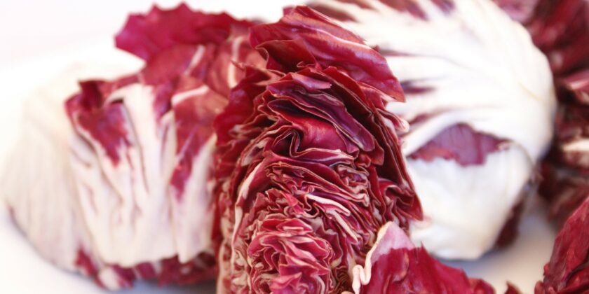 radicchio