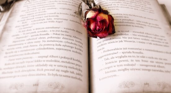 romanzo