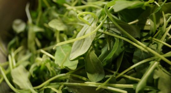 rucola