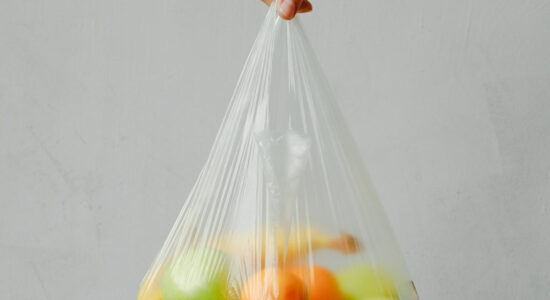 sacchetti plastica