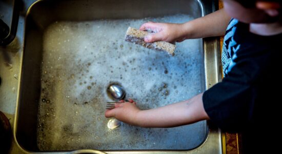 sapone per piatti