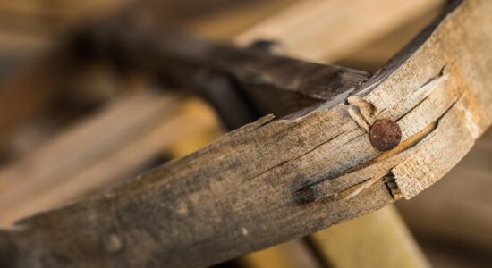 scheggia di legno