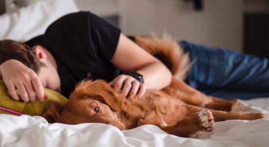 sogni
