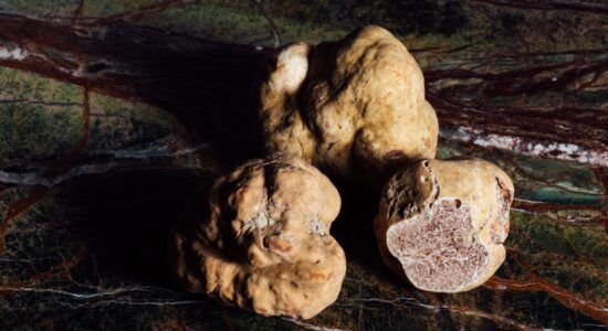 tartufo