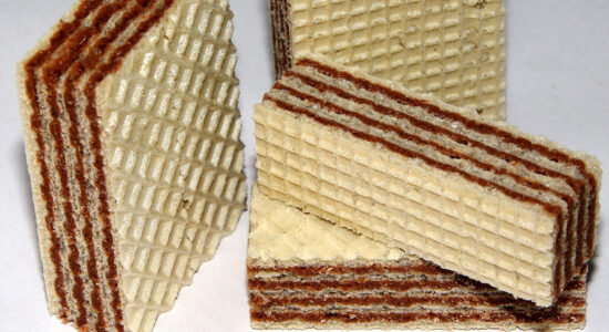 wafer