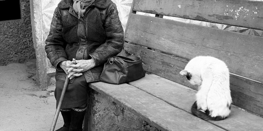 accompagnamento