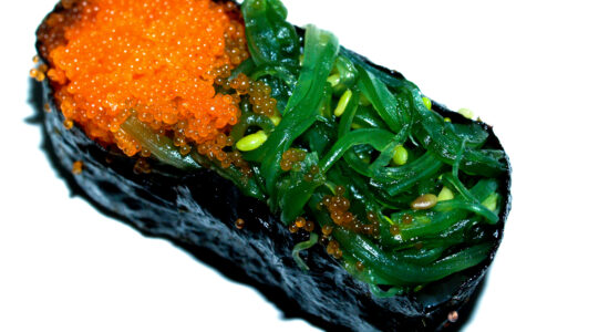 alga