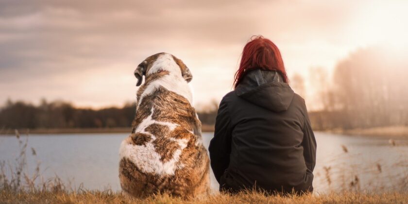 Cane e padrone