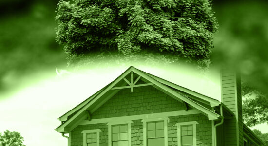 casa green