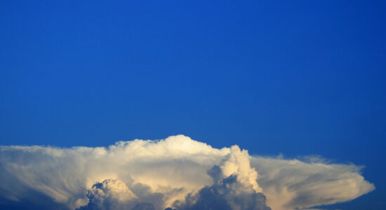 cielo