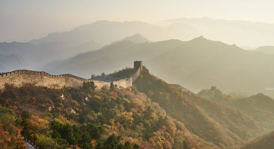cina