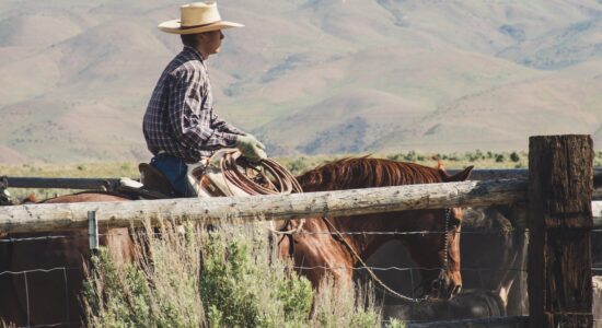 cowboy