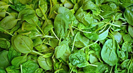 ferro spinaci
