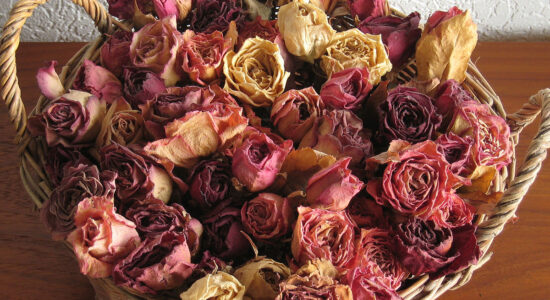 fiori