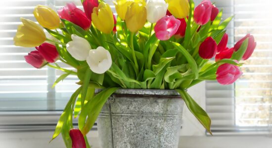 fiori