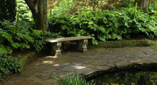 giardino