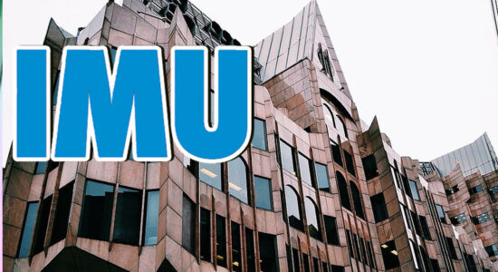 IMU