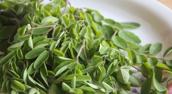 moringa