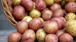 patate