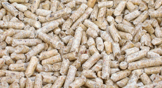 pellet