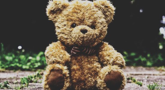 peluche