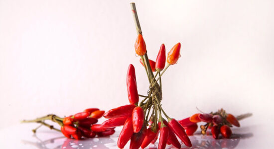 peperoncino rosso