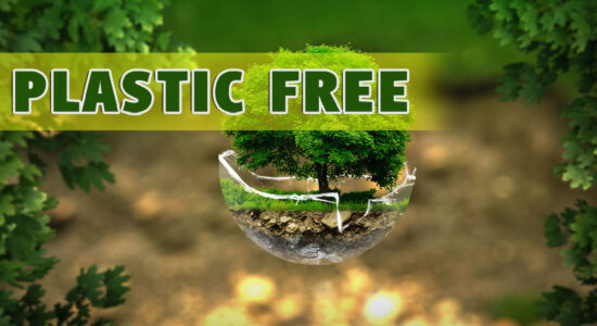 plastic free