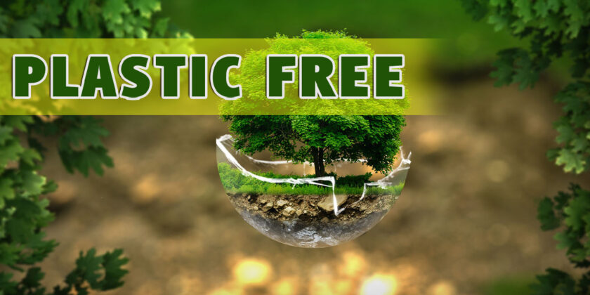 plastic free