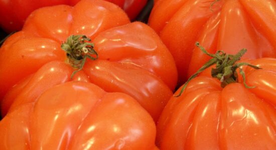 pomodori cuore di bue