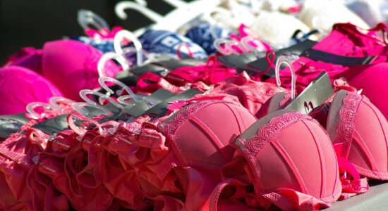 reggiseno