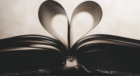 romanzo d'amore