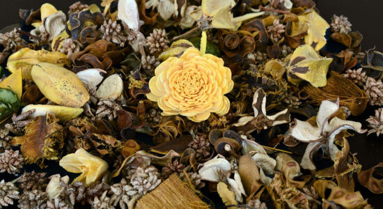 potpourri