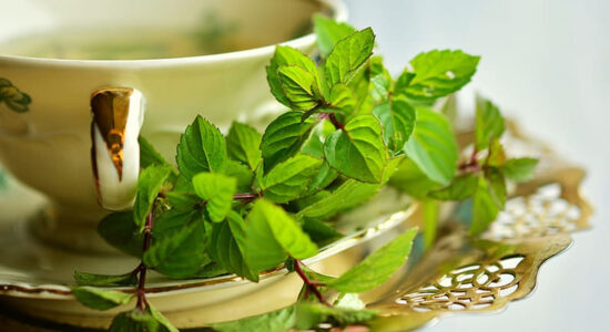 tisana