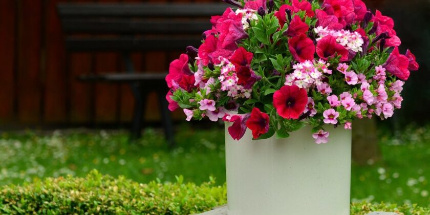 vaso per balcone e giardino geotessile