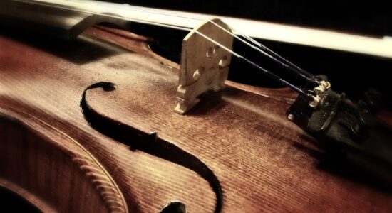 violino